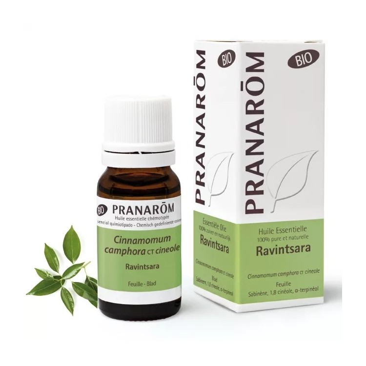 Huile essentielle de Ravintsara BIO 10ml | Thalassor