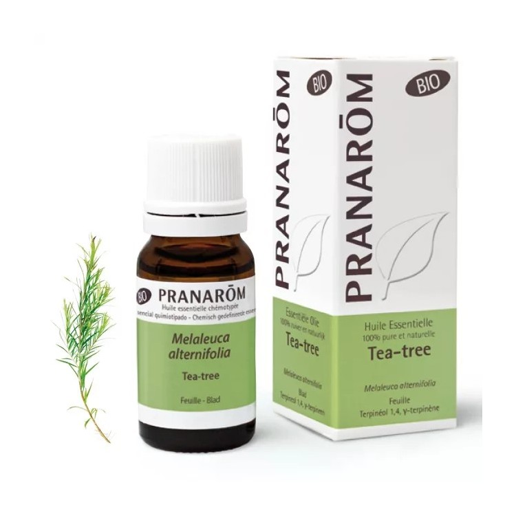 Huile essentielle de Tea-Tree BIO 10ml | Thalassor