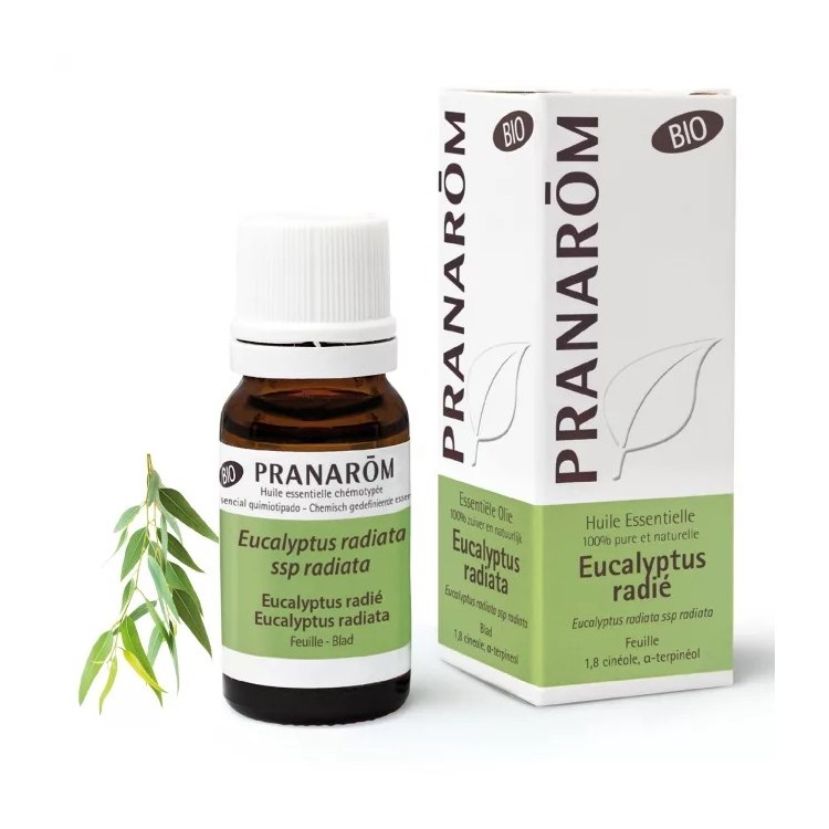 Huile essentielle d'Eucalyptus Radié BIO 10ml | Thalassor