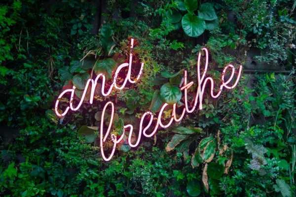 architecture-therapeutique-votre-habitat-vous-veut-du-bien
