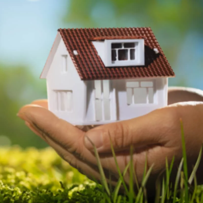 Un habitat qui prend soin de vous de la nature et de vos budgets.jpg